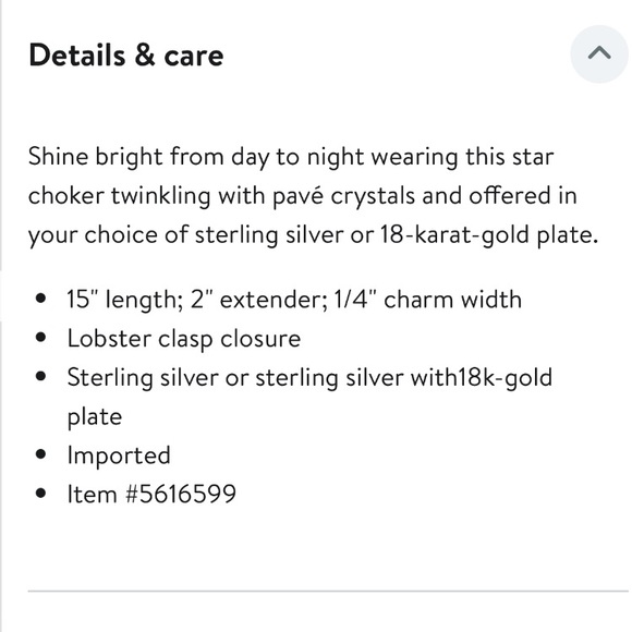 Argento Vivo Sterling Silver Pavé Star
Choker Necklace - Picture 5 of 5